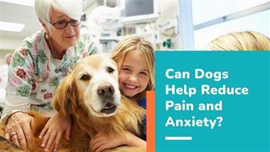 can dogs help reduce pain anxiety