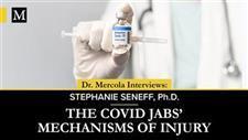 The COVID Jabs� Mechanisms of Injury