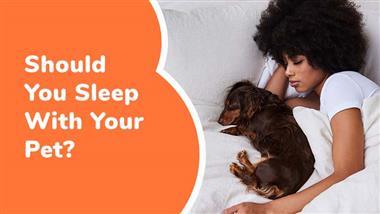 is sleeping with your pets healthy