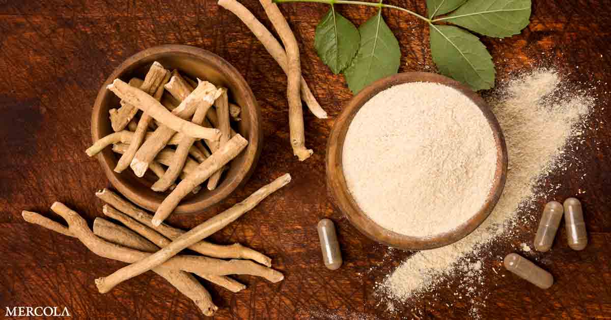 9 Reasons to Include Ashwagandha in Your Health Regimen