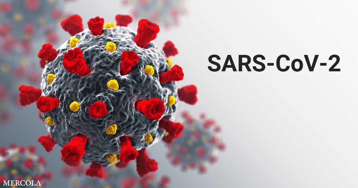 Yes, SARS-CoV-2 Is a Real Virus
