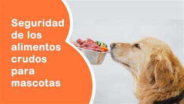 alimentos crudos para mascotas