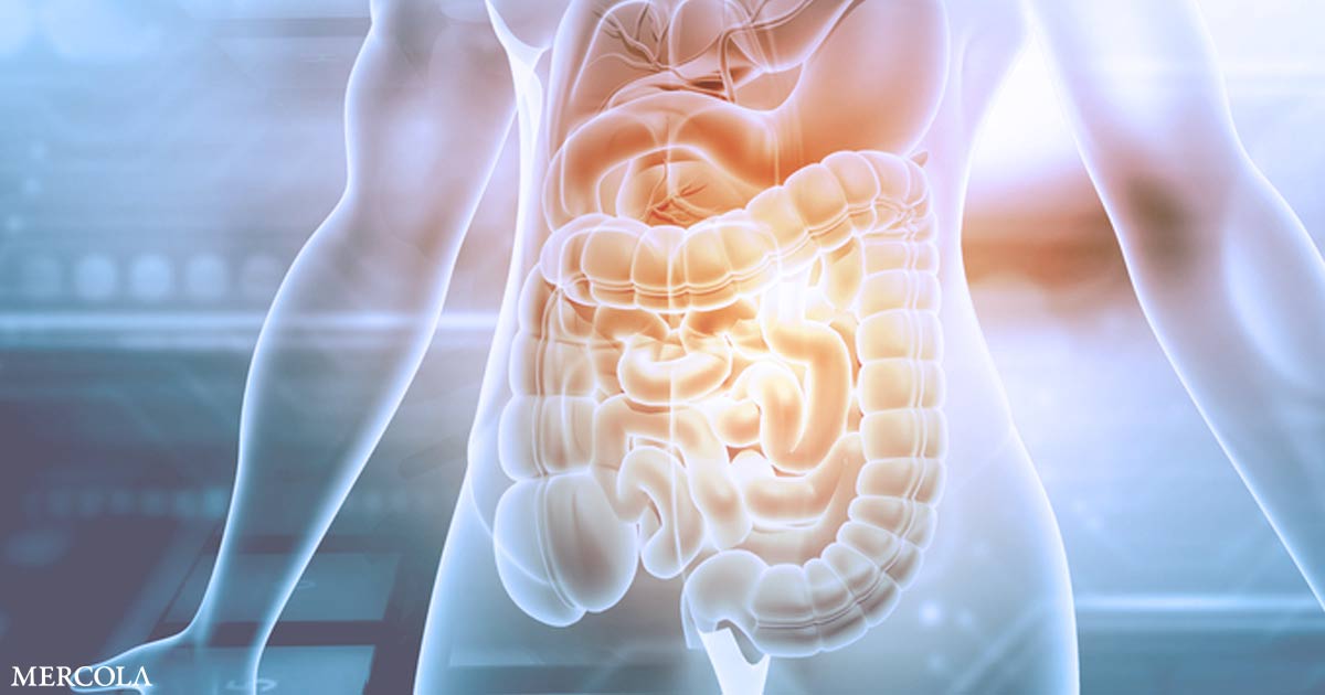 Could Fixing Your Gut Health Help Treat Your Depression?