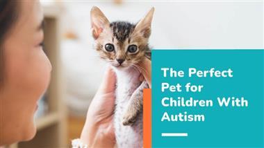 how do cats react to autism