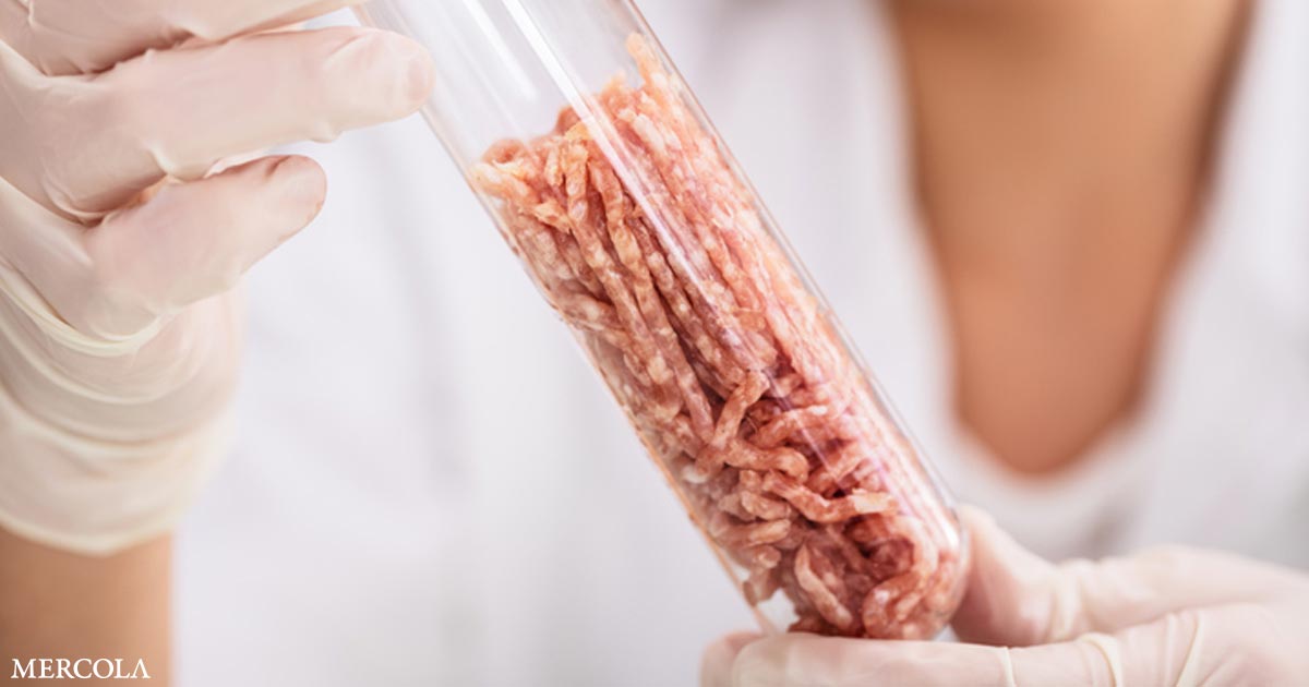 The Lies Behind Lab-Cultured Fake Meat