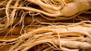 antidiabetic effect of ginseng