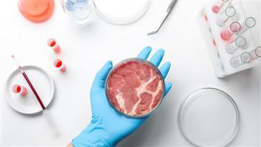 lab grown meat companies