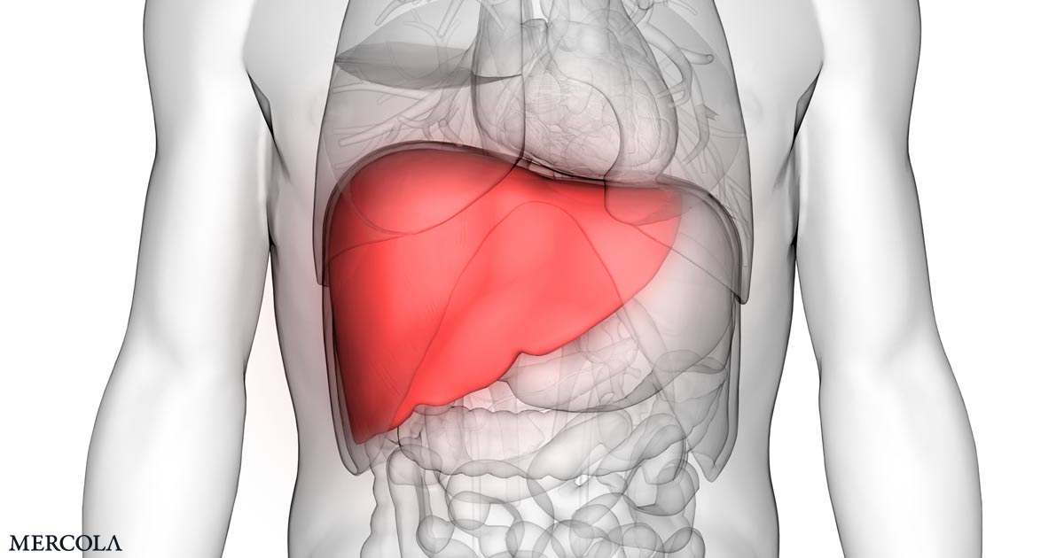 A Mortal Enemy of Your Liver, It's Not Alcohol