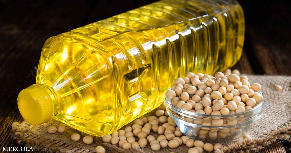 Soybean Oil May Cause Irreversible Changes in Your Brain