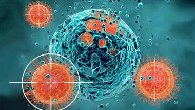 Las células NK protegen contra los tumores y las enfermedades virales