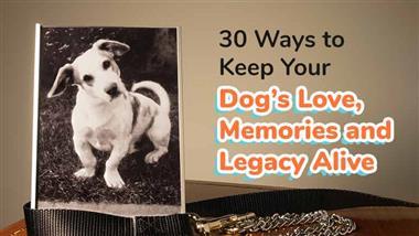 memorial ideas for dogs