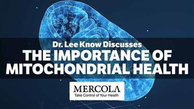 What You Need to Know About Your Mitochondria