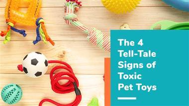 signs of toxic pet toys