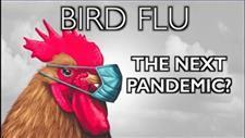 Will a Weaponized Bird Flu Become the Next Pandemic?