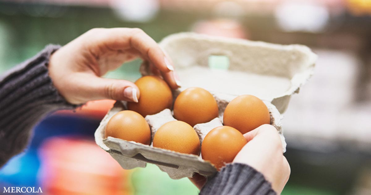 The Egg Crackdown — A Scorecard for Nutrition and Taste