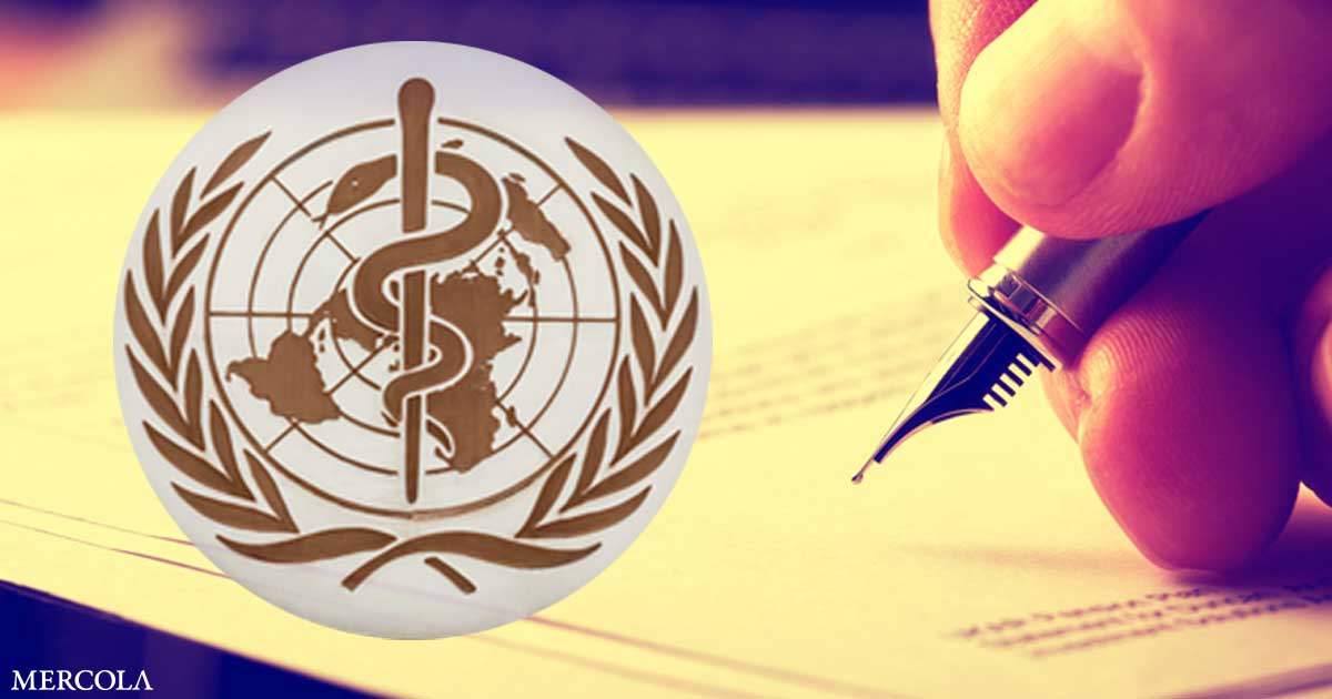 What You Need to Know About the WHO Pandemic Treaty - Verve times