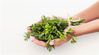 cilantro and coriander seed health benefits