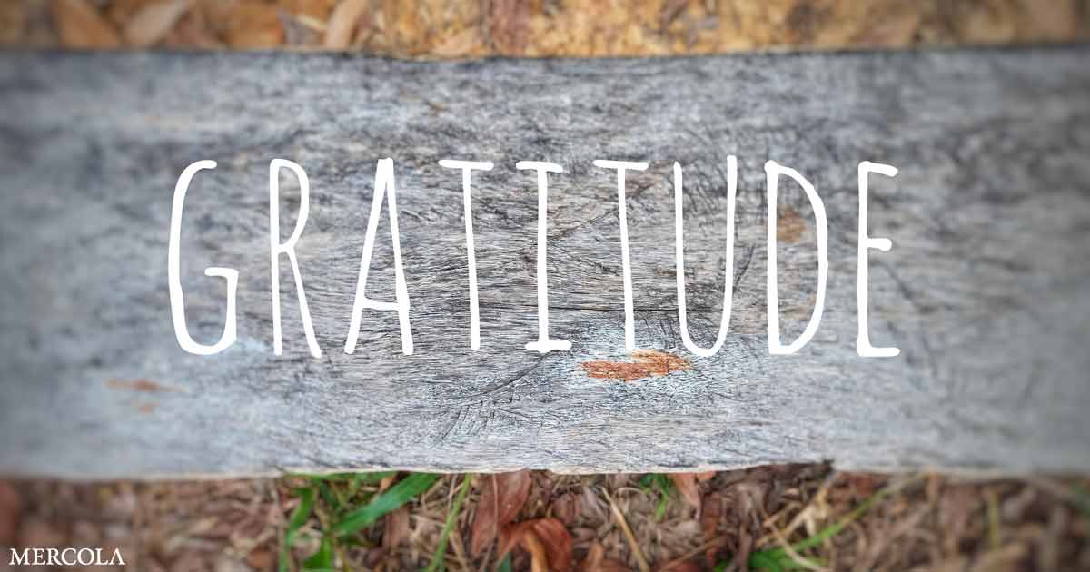 Attitude of Gratitude Can Help You Live a Longer, Happier Life