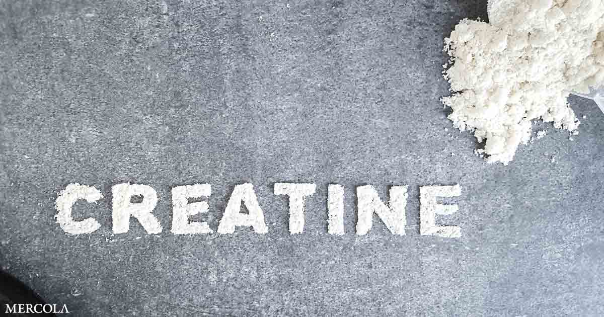 What Can Creatine Do for You?