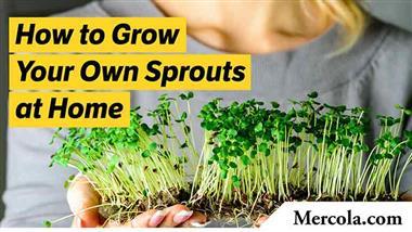 Is It Time to Start Growing Your Own Food?