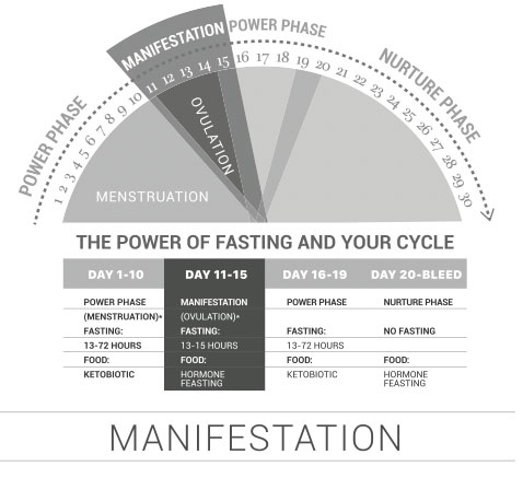 fasting cycle manifestation