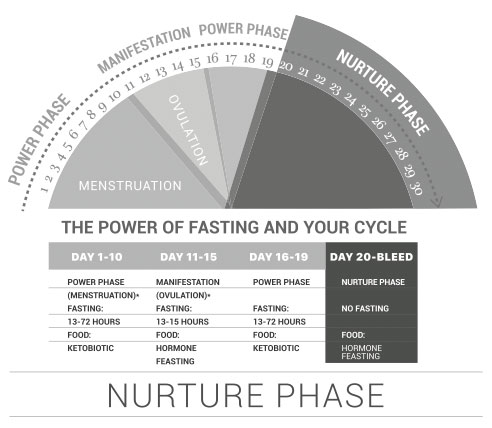 fasting cycle nurture phase