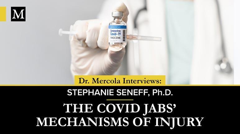 Die Verletzungsmechanismen der COVID-Impfstoffe. Beweis für die steigende Zahl der geimpften Personen, die jetzt an COVID und anderen Infektionen erkranken – und daran sterben.