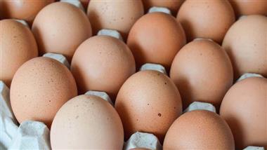 Duck Eggs Versus Chicken Eggs — How Do They Compare?