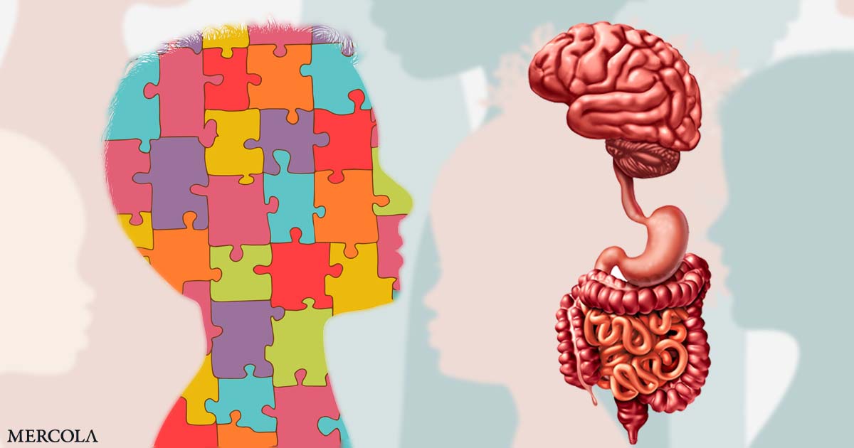 Research Confirms Gut-Brain Connection in Autism