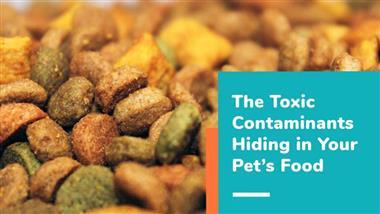 toxic ingredients in pet food