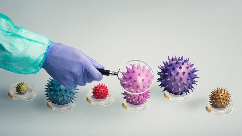 Wissenschaftler haben das weltweit tödlichste Grippevirus nachgebaut