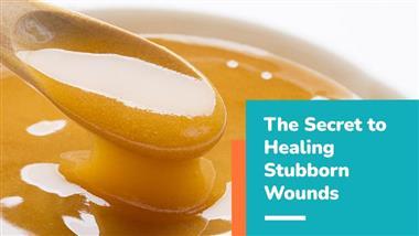 healing animal wounds with honey