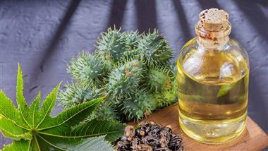 reasons to stock a bottle of castor oil at home