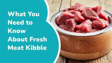 fresh meat kibble