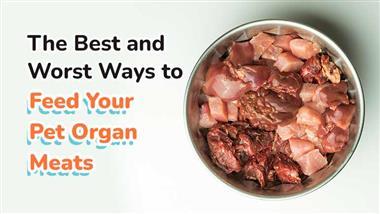 organ meats for pets