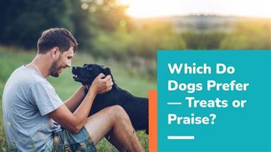 treats or praise