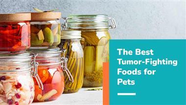 tumor fighting foods for pets