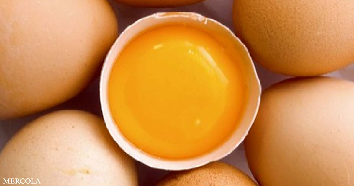 Are Egg Yolks Good or Bad?
