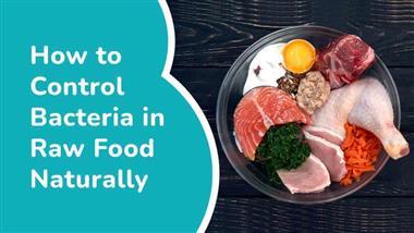 how to control bacteria in raw food naturally