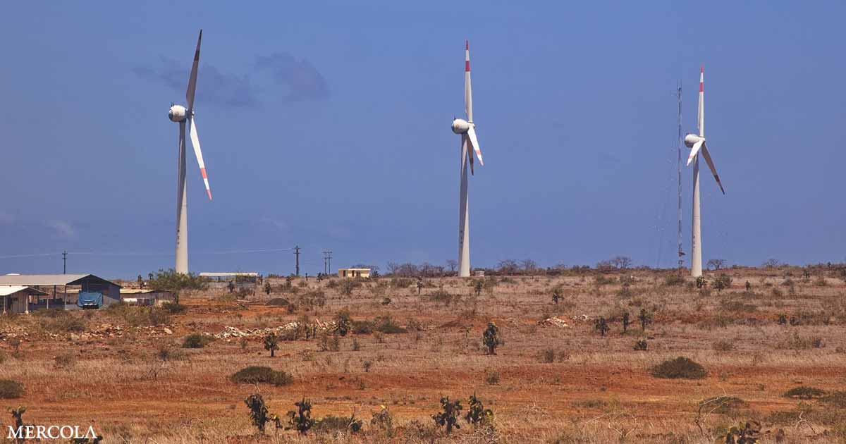 Deforesting the Amazon for Green Energy Windmills?