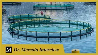 Swimming in Circles: Aquaculture and the End of Wild Oceans