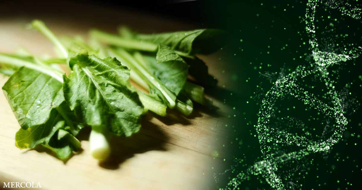 Meet Your New Gene-Edited Salad