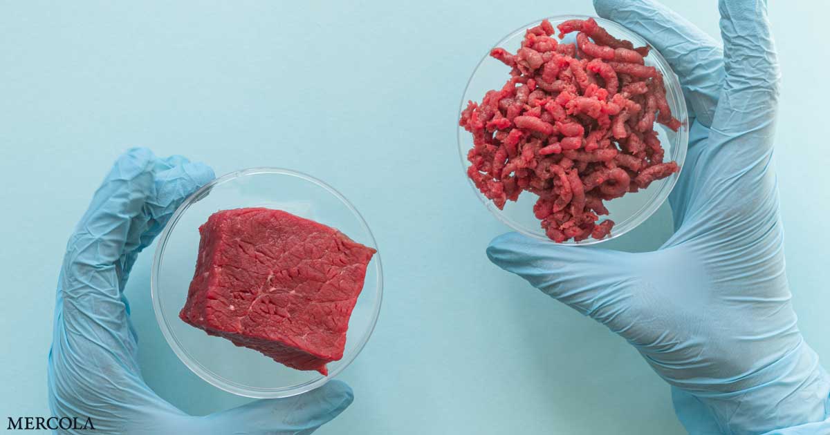 What They Don’t Want You to Know About Lab-Grown Meat