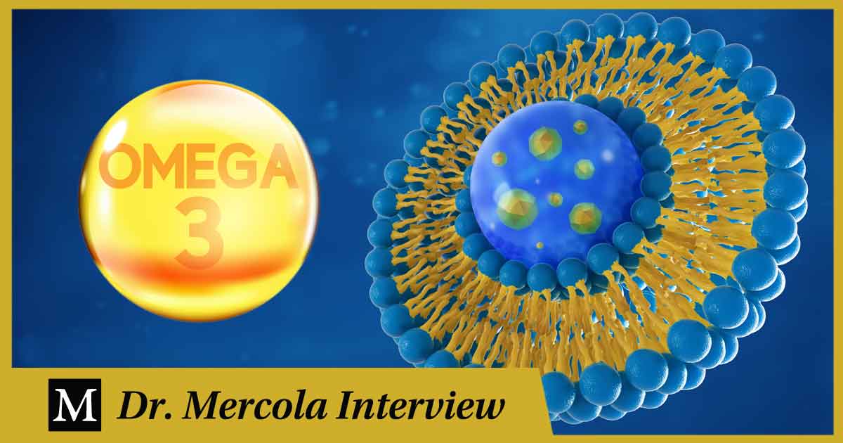 The Importance of Omega-3 for Cell Membrane Functionality