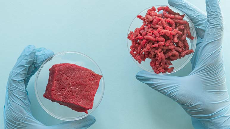 Was Sie über Fleisch aus dem Labor nicht wissen sollen