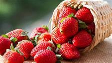pesticides on strawberries