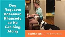 Dog Requests Bohemian Rhapsody so He Can Sing Along