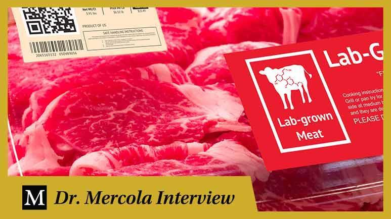 Die Gefahren von falschem Fleisch mit Dr. Joseph Mercola