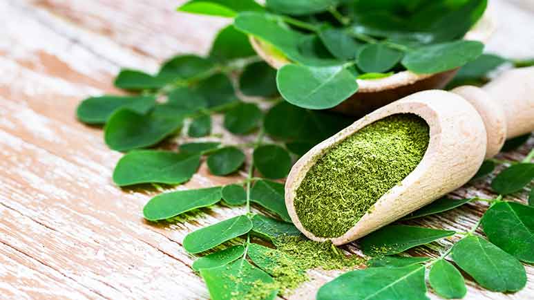 Moringa enthält alle essentiellen Aminosäuren, die der Körper braucht