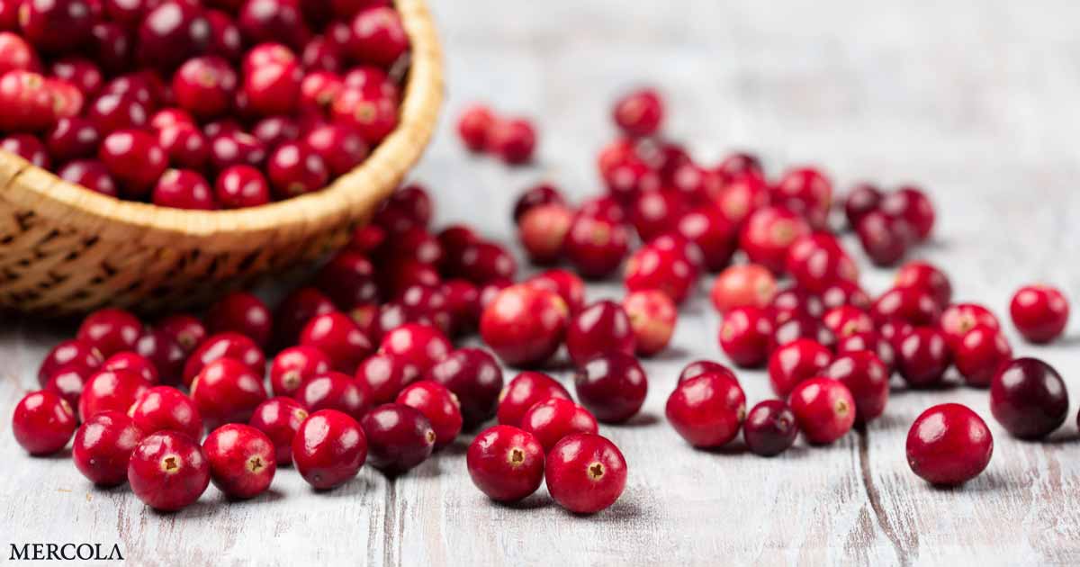 Cranberries Can Reduce Risk for Urinary Tract Infections